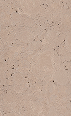 Mocha - Limestone